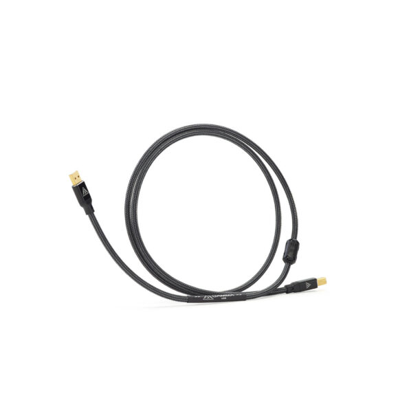 Shunyata Gamma USB kabel