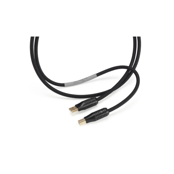 Shunyata Theta USB kabel